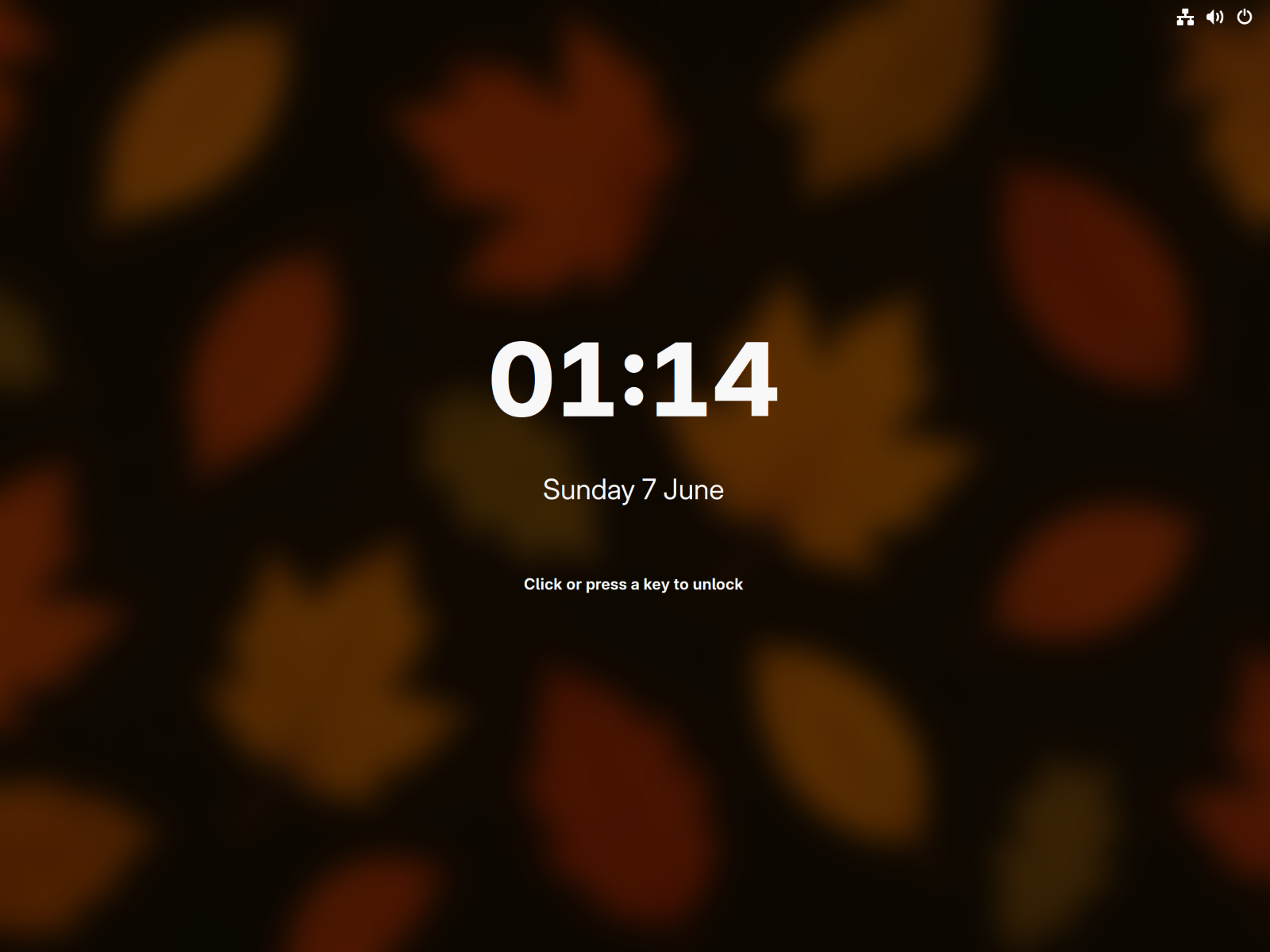 Margine lock screen with the autumn leaves wallpaper